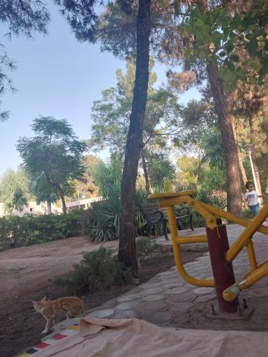 عکس بوستان شهید بنیادی