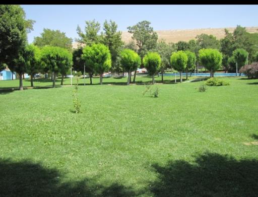 عکس بوستان شهید بنیادی