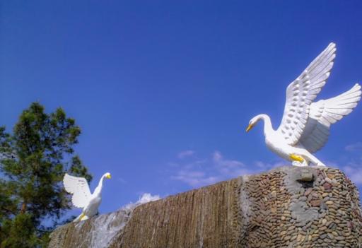 عکس بوستان شهید بنیادی