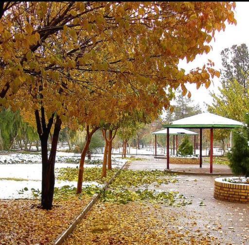 عکس بوستان شهید بنیادی