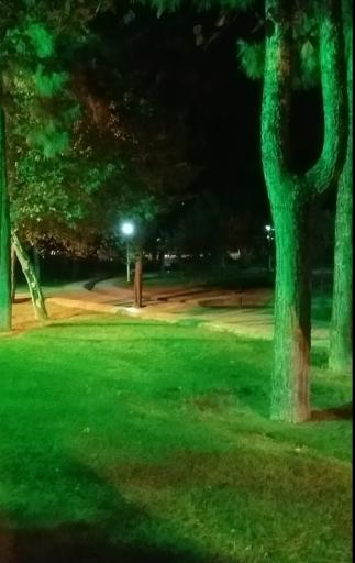 عکس بوستان شهید بنیادی