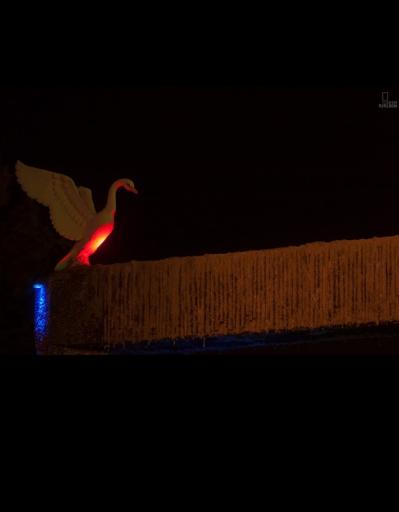 عکس بوستان شهید بنیادی