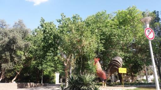 عکس بوستان شهید بنیادی