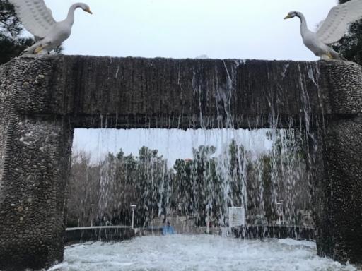 عکس بوستان شهید بنیادی