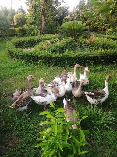 عکس مجتمع تفریحی هسا