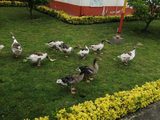 عکس مجتمع تفریحی هسا