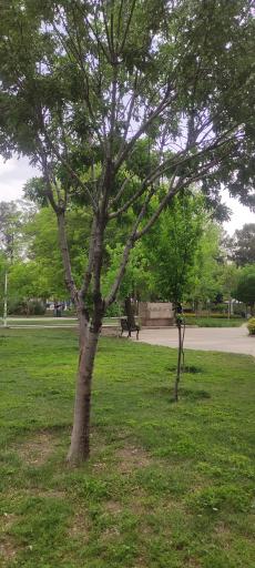 عکس بوستان شهید بنیادی