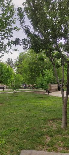 عکس بوستان شهید بنیادی