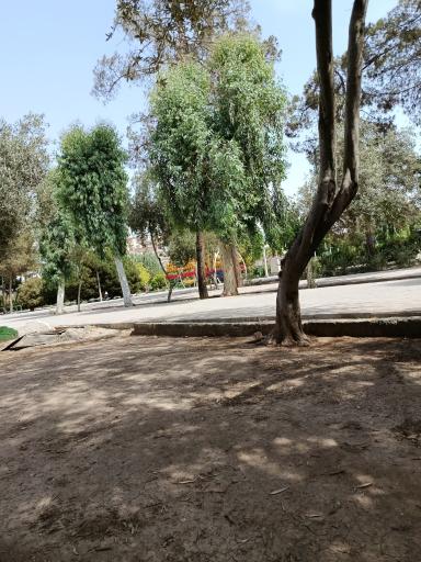 بوستان شهید بنیادی