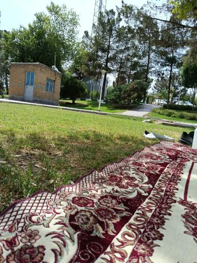 بوستان شهید بنیادی