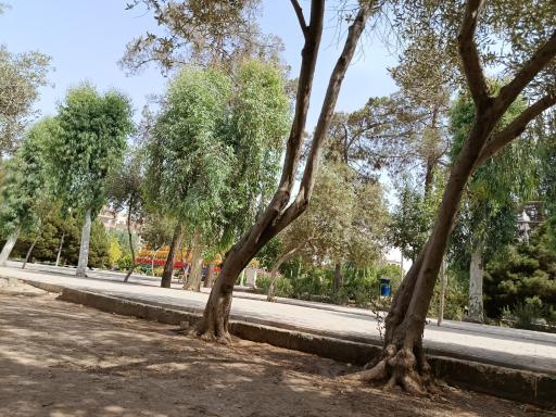 عکس بوستان شهید بنیادی