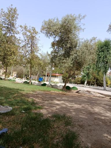 بوستان شهید بنیادی