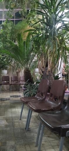 عکس عطاری سماواتیان 