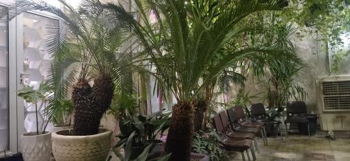 عکس عطاری سماواتیان 