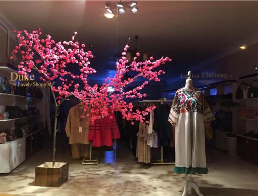 عکس پوشاک دوک