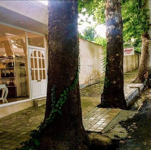 عکس پوشاک دوک