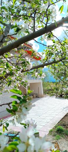 عکس اقامتگاه ویلایی لاله