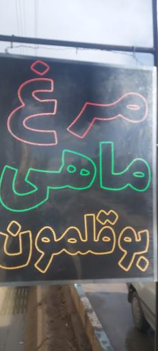 عکس مرغ و ماهی سید