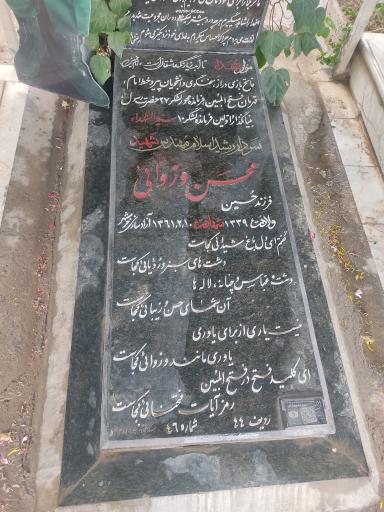 عکس مزار محسن وزوایی