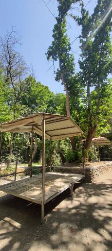 عکس باغ خانوادگی هالی 