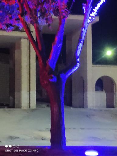 عکس مقبره دهقان سامانی