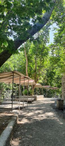 عکس باغ خانوادگی هالی 