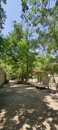 عکس باغ خانوادگی هالی 