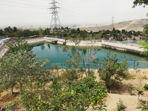 عکس استخر و آبنمای بوستان جنگلی کوهسار