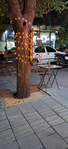 عکس سهیل کافی 