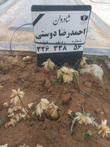 عکس مزار احمدرضا دوستی