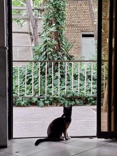 عکس بیمارستان و پلی کلینیک تخصصی دانشکده دامپزشکی