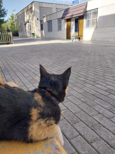 عکس بیمارستان و پلی کلینیک تخصصی دانشکده دامپزشکی