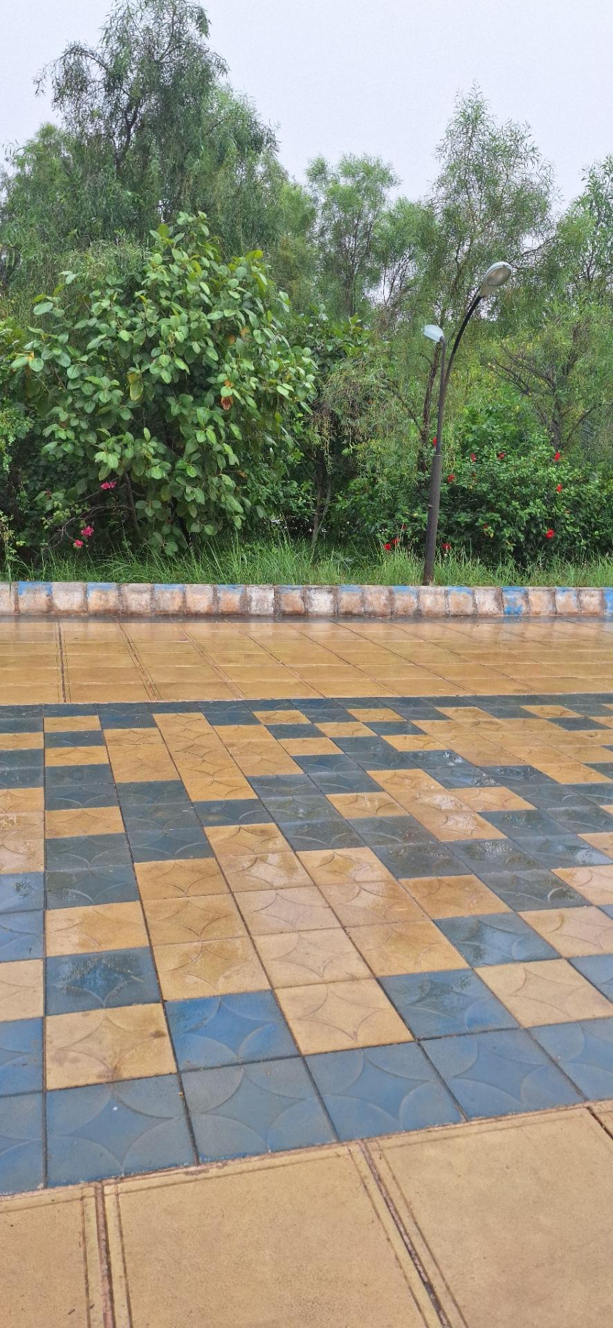 عکس آموزشکده فنی دختران اهواز