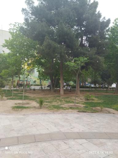 عکس بوستان شهیدان قمی(اقاقیا)