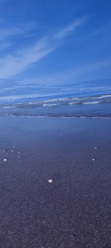 عکس اردوگاه ورزشی و فرهنگی شهید عظیمی بهزیستی کشور