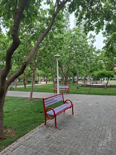 عکس بوستان همیشه بهار