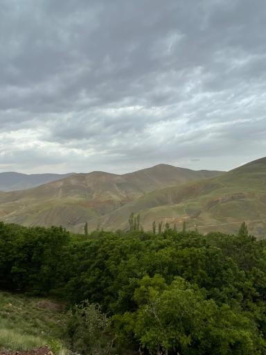 عکس تسوج