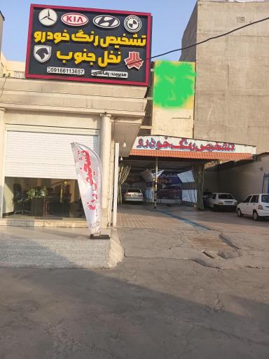 عکس تشخیص رنگ و تست فنی خودرو نخل جنوب