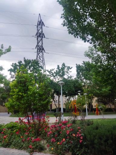 عکس بوستان همیشه بهار