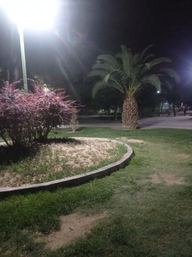 عکس بوستان شهیدان قمی(اقاقیا)