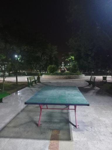 عکس بوستان شهیدان قمی(اقاقیا)