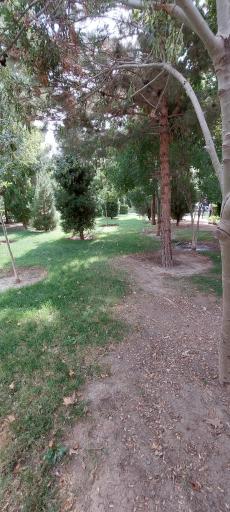 عکس پارک دباغیان