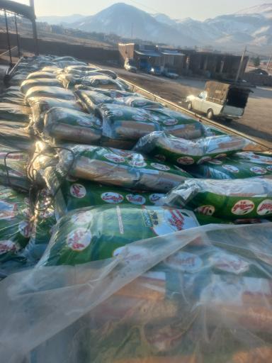 عکس بارفروشی برادران خزایی