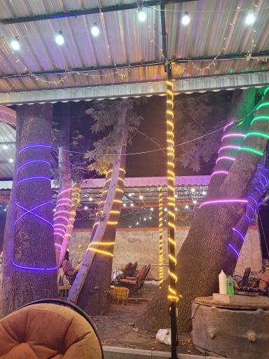 عکس کفه دیاکو 