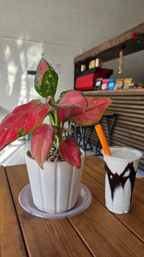 عکس کافه گذر