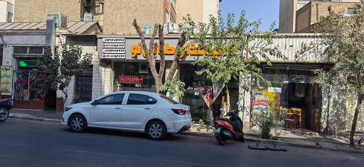 عکس تهیه غذای طلایی نو 