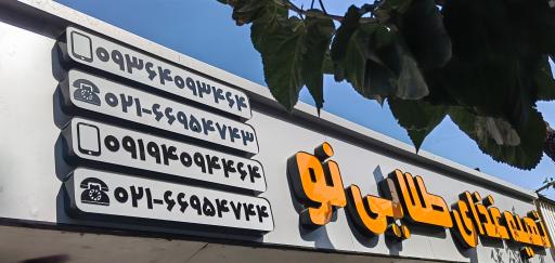 عکس تهیه غذای طلایی نو 