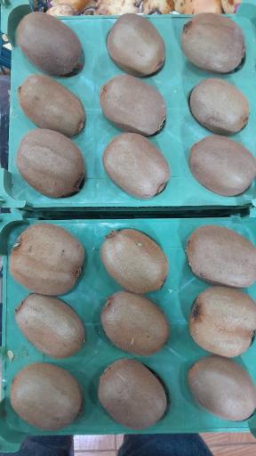 عکس میوه فروشی میوه کده 