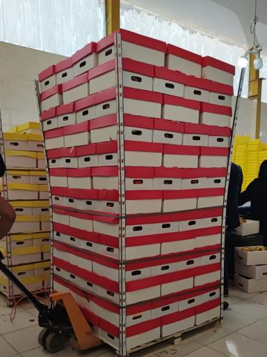 عکس شرکت تعاونی کشاورزی حامی گلخانه داران نجف آباد 