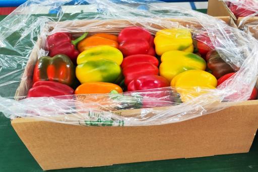 عکس شرکت تعاونی کشاورزی حامی گلخانه داران نجف آباد 